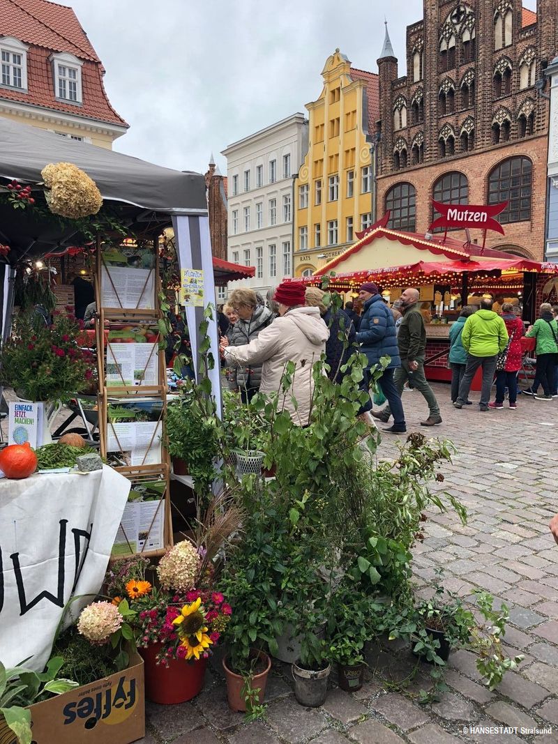 Erntedankfest Stralsund_ Rückblick auf 2020